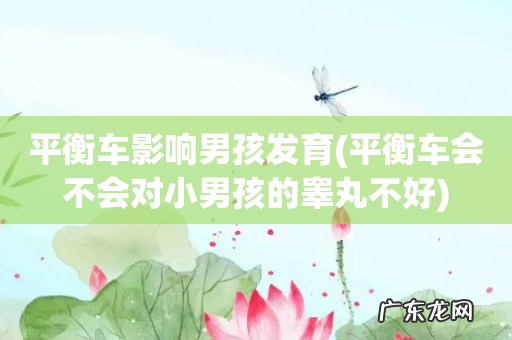 平衡车会不会对小男孩的睾丸不好 平衡车影响男孩发育