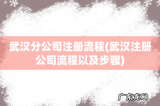 武汉注册公司流程以及步骤 武汉分公司注册流程