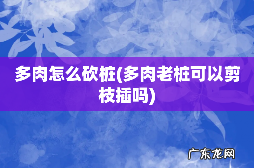 多肉老桩可以剪枝插吗 多肉怎么砍桩