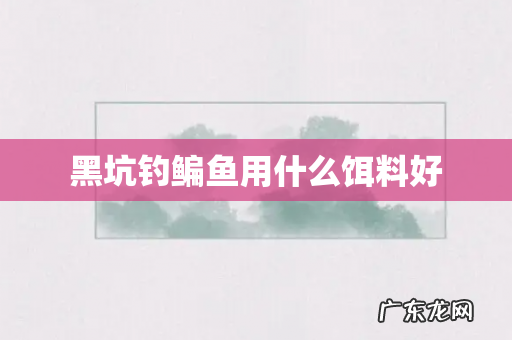 黑坑钓鳊鱼用什么饵料好