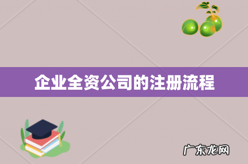 企业全资公司的注册流程