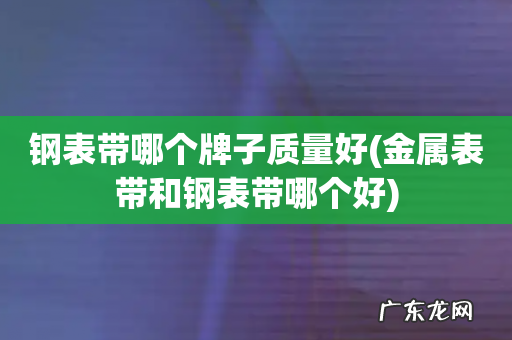 金属表带和钢表带哪个好 钢表带哪个牌子质量好