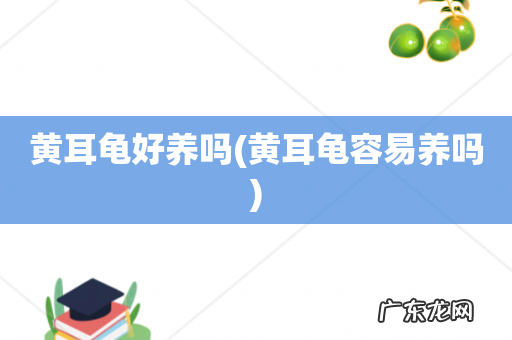黄耳龟容易养吗 黄耳龟好养吗