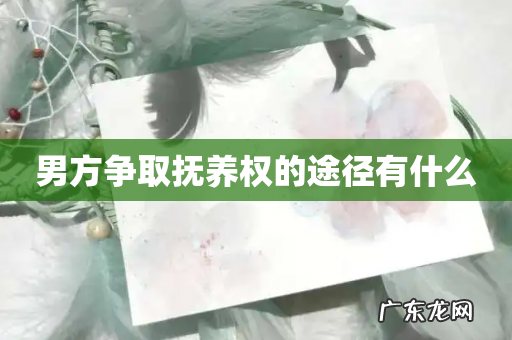 男方争取抚养权的途径有什么