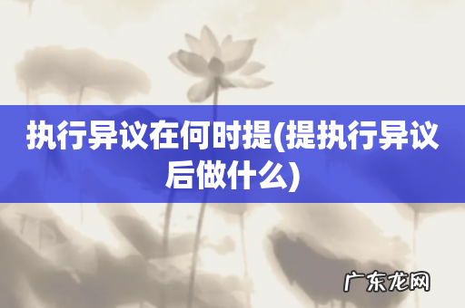 提执行异议后做什么 执行异议在何时提