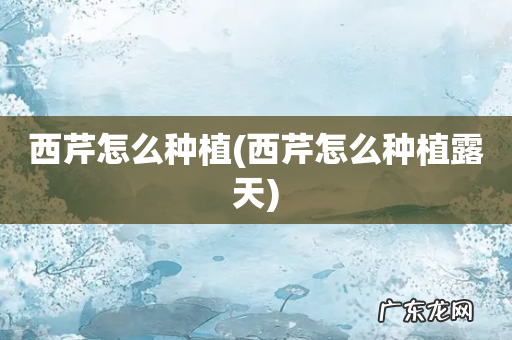 西芹怎么种植露天 西芹怎么种植