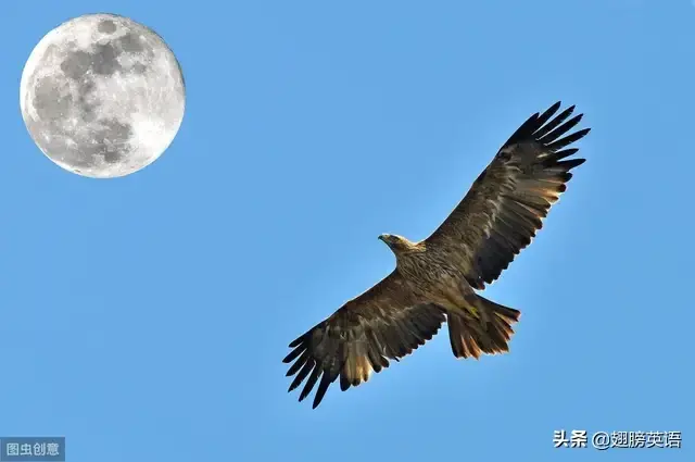 八大时态的基本结构 时态