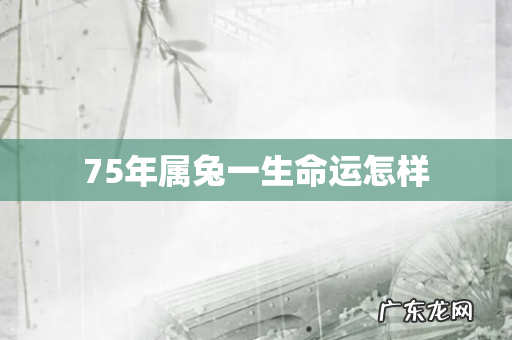 75年属兔一生命运怎样