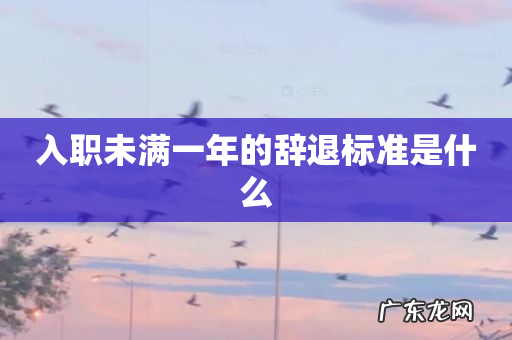 入职未满一年的辞退标准是什么