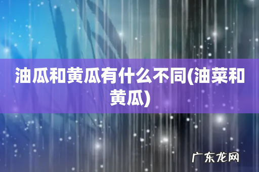油菜和黄瓜 油瓜和黄瓜有什么不同