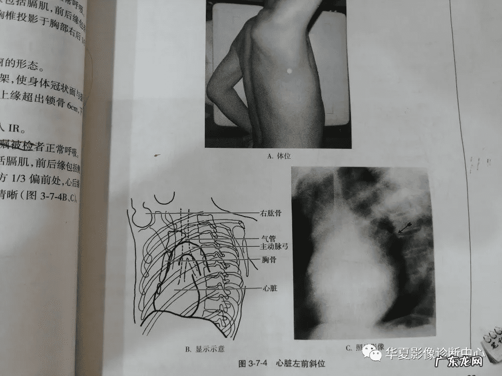 72种啪姿势大全动态图 姿势图