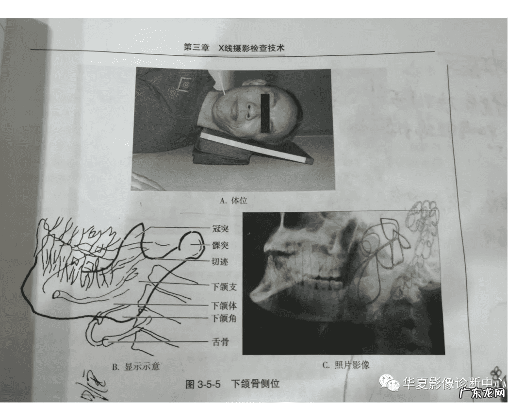 72种啪姿势大全动态图 姿势图