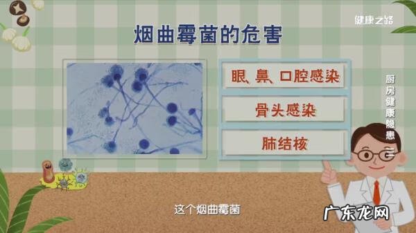 烟曲霉菌是什么东西 烟曲霉菌感染