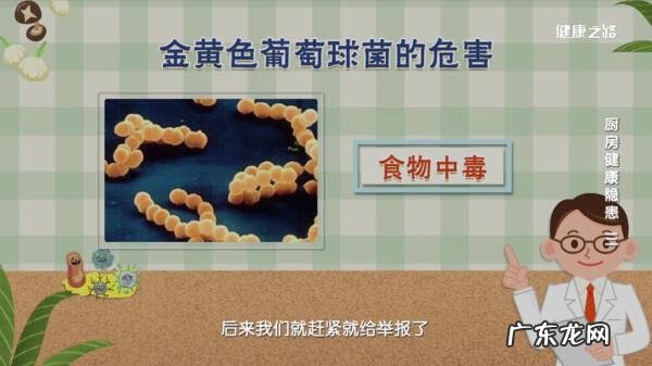 烟曲霉菌是什么东西 烟曲霉菌感染