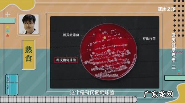 烟曲霉菌是什么东西 烟曲霉菌感染