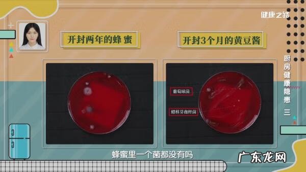 烟曲霉菌是什么东西 烟曲霉菌感染