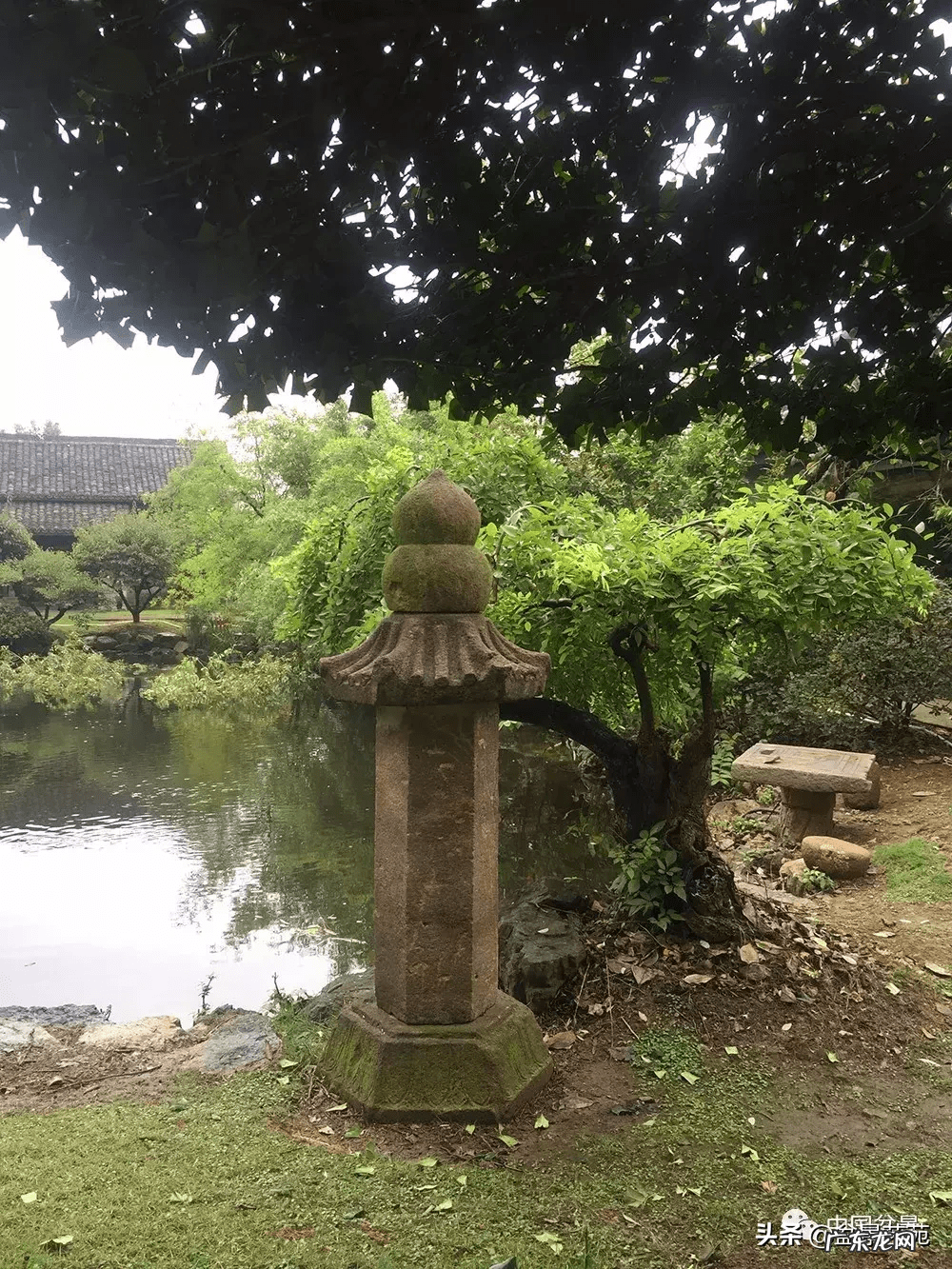 家居盆景摆放风水 家庭盆景风水