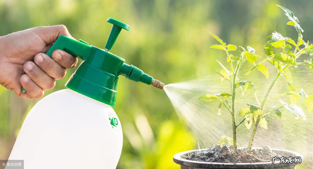 润阳国际风水 北润易学的风水