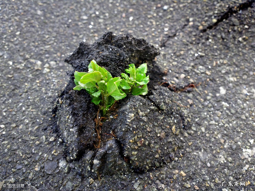 润阳国际风水 北润易学的风水