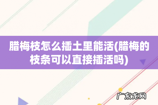 腊梅的枝条可以直接插活吗 腊梅枝怎么插土里能活