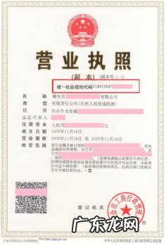 如何查发票代码 企业发票代码查询