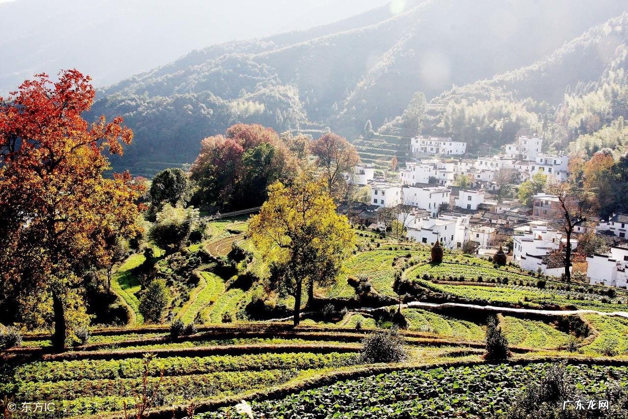我的家乡的作文怎么写 小学生作文我的家乡在这里