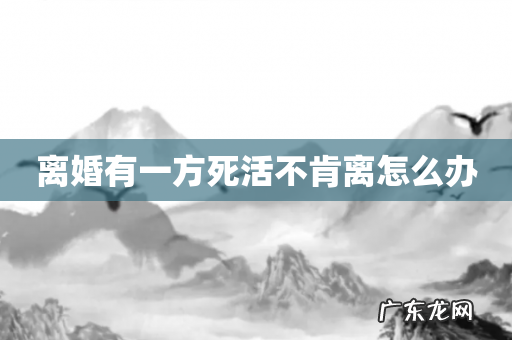 离婚有一方死活不肯离怎么办