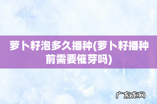 萝卜籽播种前需要催芽吗 萝卜籽泡多久播种