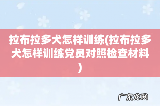 拉布拉多犬怎样训练党员对照检查材料 拉布拉多犬怎样训练