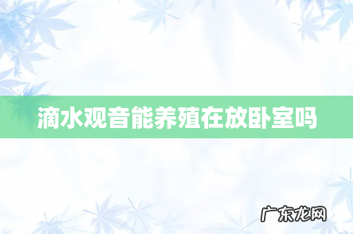滴水观音能养殖在放卧室吗