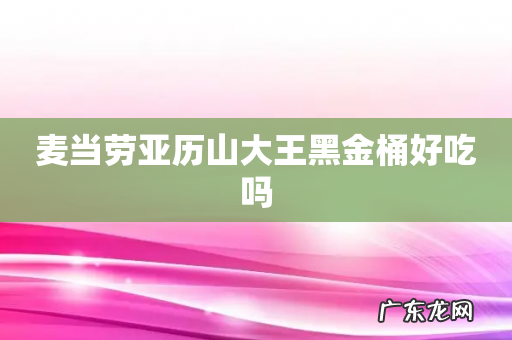 麦当劳亚历山大王黑金桶好吃吗