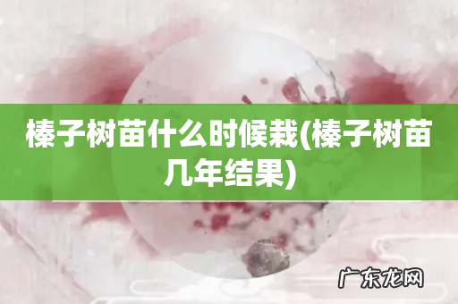 榛子树苗几年结果 榛子树苗什么时候栽