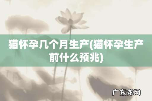 猫怀孕生产前什么预兆 猫怀孕几个月生产