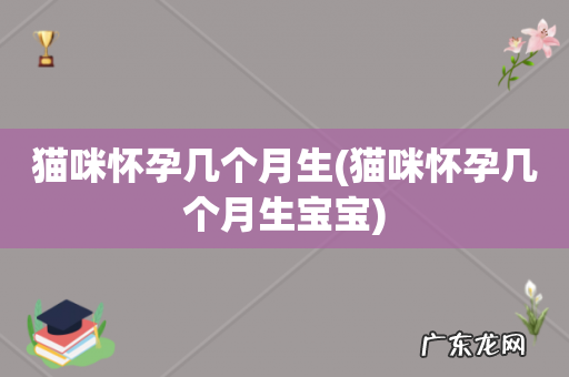 猫咪怀孕几个月生宝宝 猫咪怀孕几个月生