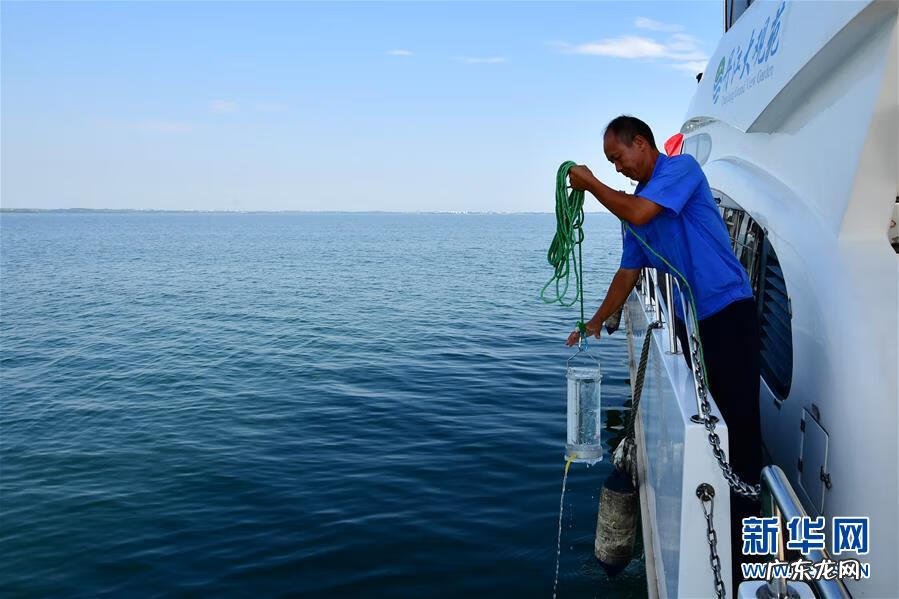杨公亲点墓地风水案例 芈氏太婆山风水故事