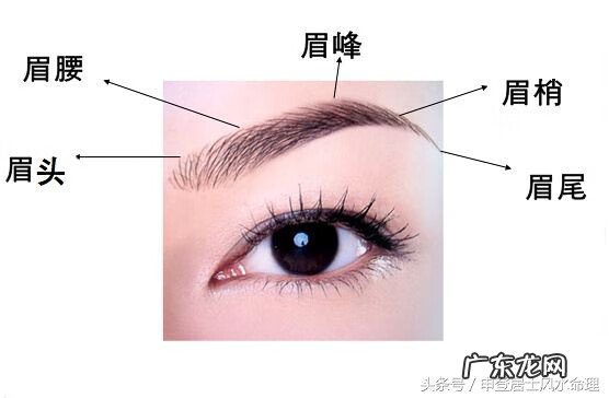 女人眉尾稀少是什么原因 女生眉毛眉尾稀少