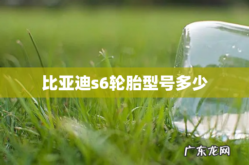 比亚迪s6轮胎型号多少