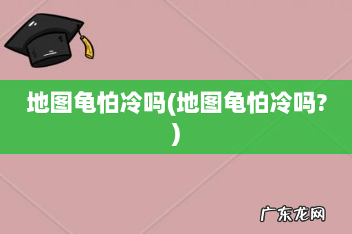 地图龟怕冷吗? 地图龟怕冷吗