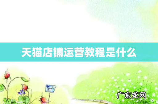 天猫店铺运营教程是什么
