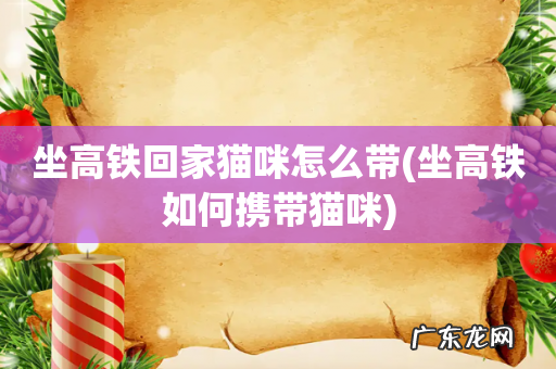 坐高铁如何携带猫咪 坐高铁回家猫咪怎么带