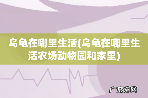 乌龟在哪里生活农场动物园和家里 乌龟在哪里生活