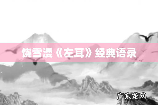 饶雪漫《左耳》经典语录