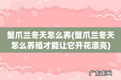 蟹爪兰冬天怎么养殖才能让它开花漂亮 蟹爪兰冬天怎么养