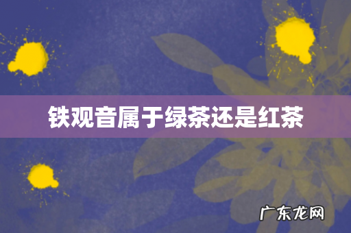 铁观音属于绿茶还是红茶