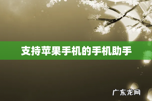 支持苹果手机的手机助手