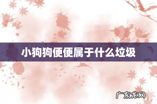 小狗狗便便属于什么垃圾