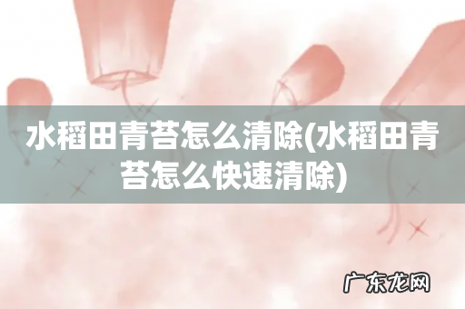 水稻田青苔怎么快速清除 水稻田青苔怎么清除