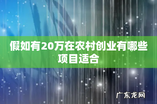 假如有20万在农村创业有哪些项目适合