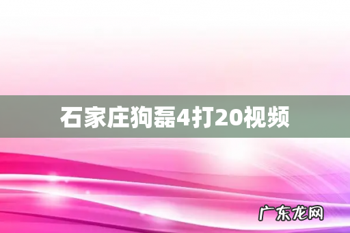 石家庄狗磊4打20视频