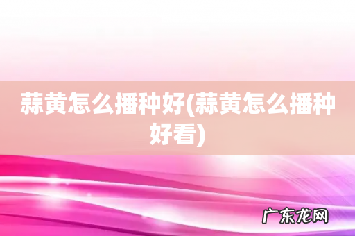 蒜黄怎么播种好看 蒜黄怎么播种好